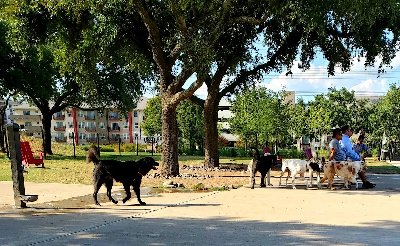 Domain Central Bark dog park