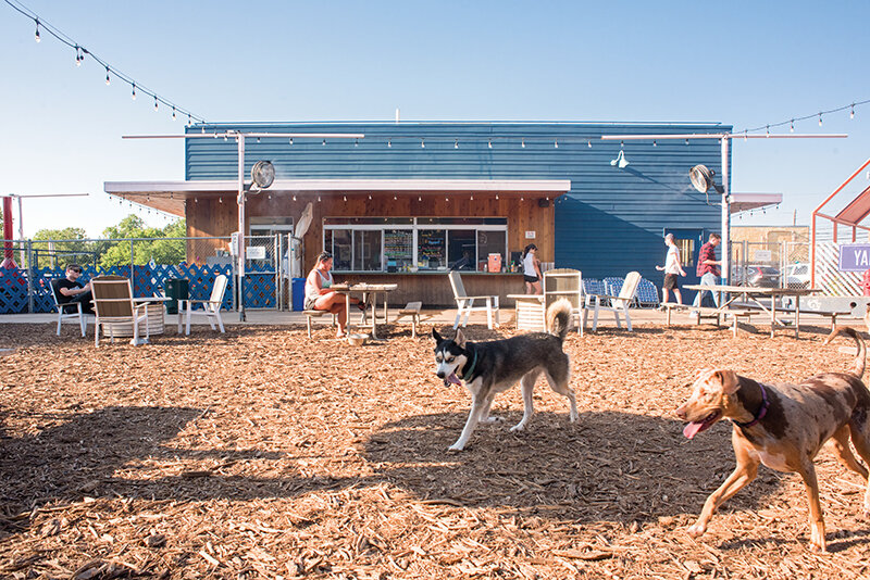 Yard Bar dog park