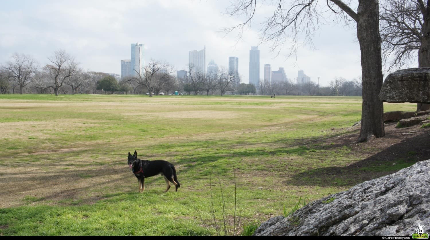 Zilker Metropolitan Park dog park